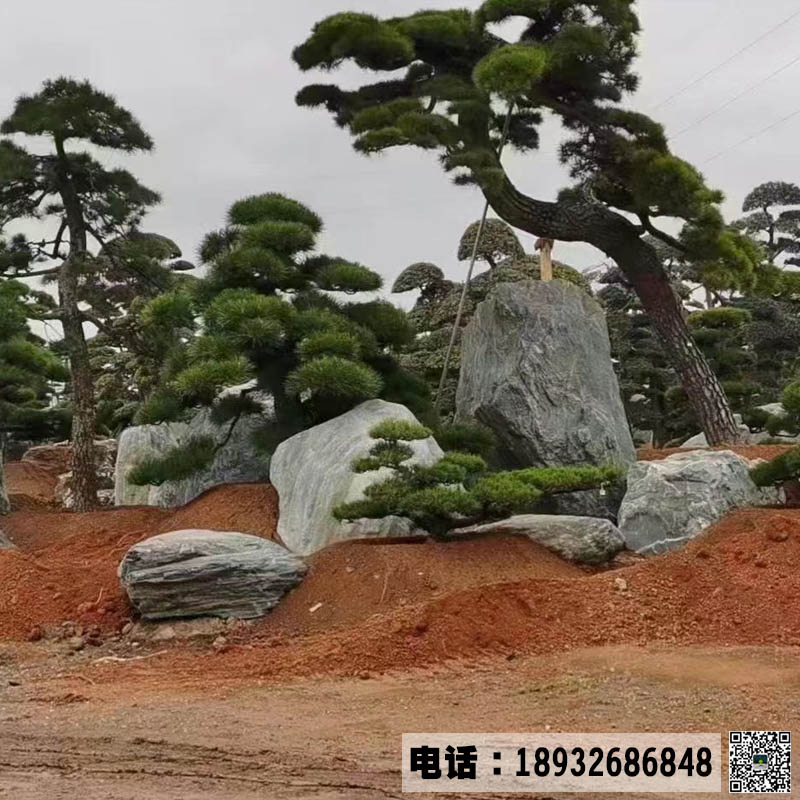案例2.jpg